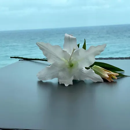 Apartamento Frente Al Mar Con Gran Terraza Y Hermosas Vistas Las Palmas de Gran Canaria